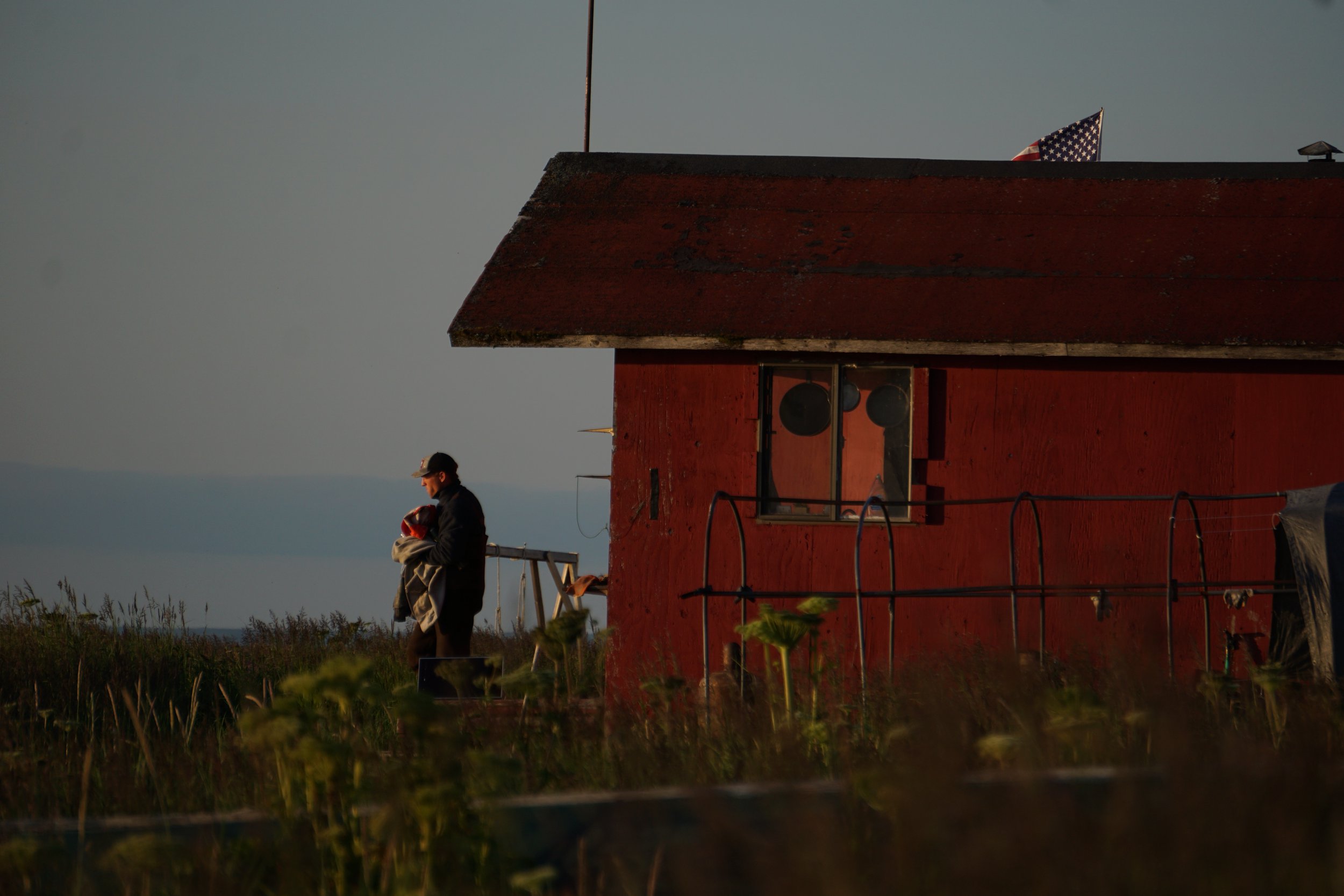 Misty morning on the water