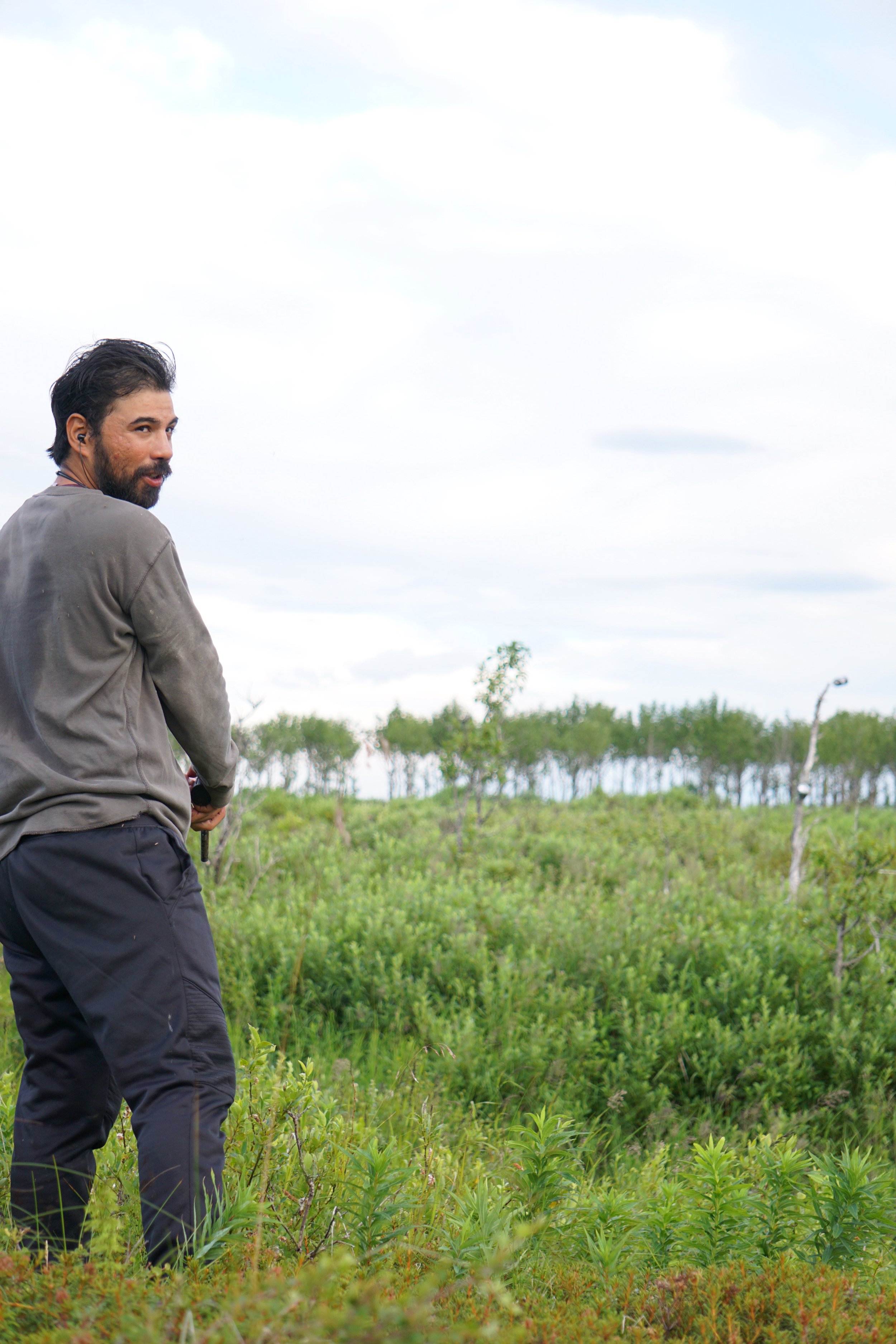Mudflats at low tide